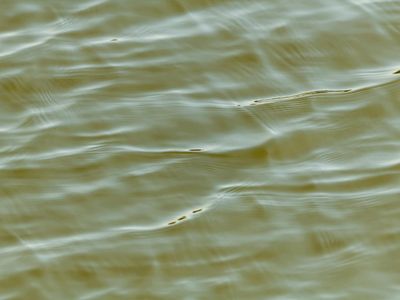 Soft flowing blue waves symbolizing gentle movement